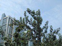 ����8950���ƶ��棩������5