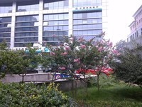 ����V8������3