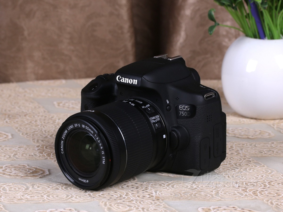 【高清图】 佳能(canon)750d套机(18-55mm)实拍图 图145