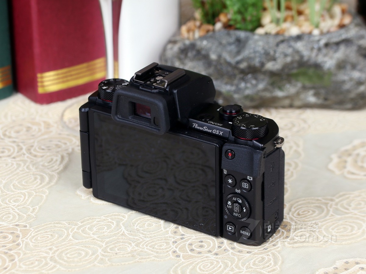 【高清图】 佳能(canon)g5 x实拍图 图200
