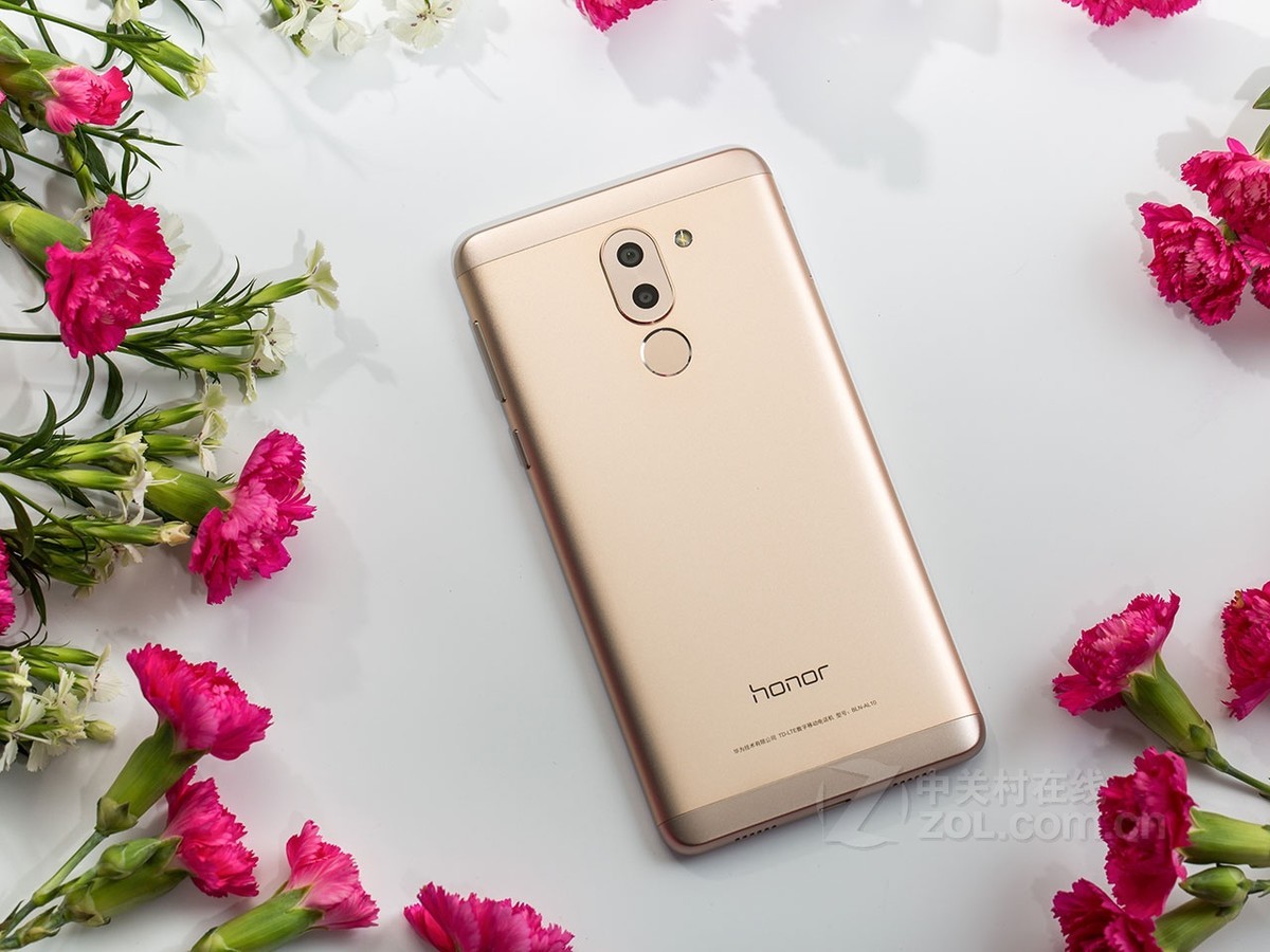 荣耀畅玩6x(bln-al10/4gb ram/全网通)