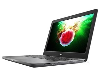 戴尔灵越 15 5000系列出彩版 复古灰(Ins 15-5567-D1105A)