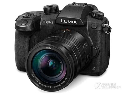  GH5׻(12-60mm)
