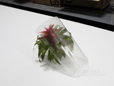 COREYAS 透明全息膜（100英寸）