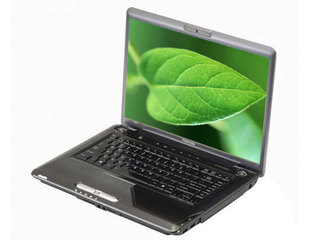 ֥Satellite A300