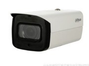  DH-IPC-HFW4233F-VFAS