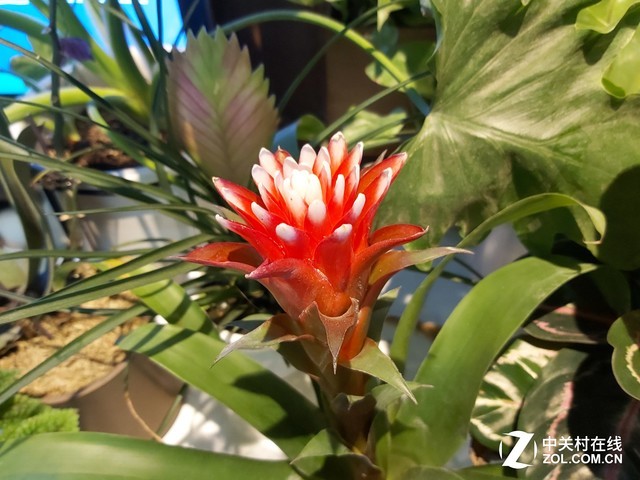 ����ӳִ������ֵ ����A60�������Ž��� 