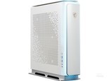 微星P100X 10SF-219CN