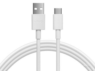 vivo Type-Cߣ1m