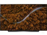 LG OLED55CXPCA