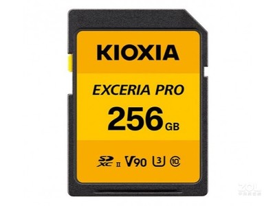  EXCERIA PRO ϵУ256GB 