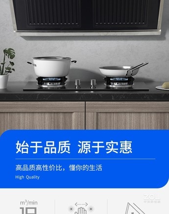 参数_图片_论坛_瑞贝格尔 cxw-288-g21抽油烟机报价-zol中关村在线