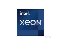 Intel Xeon W-1350P