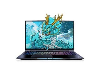е7X(R9 5900HX/16GB/512GB/RTX3070)