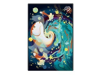 ϣBackup plus 2TBSTHN2000401 ư