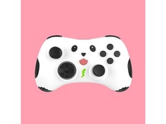 honcam switch�ֱ�