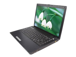 ���۳��� F300