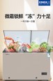 星星BCD200XR 【双温双箱】232升喷涂内胆微霜