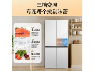 HaierBCD-460WGHTD45W9U1