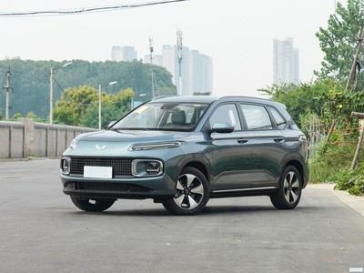   2023 2.0L DHT 콢