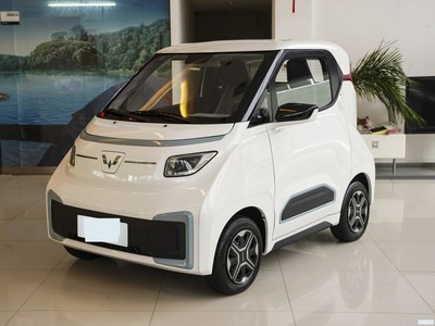  NanoEV 2022 