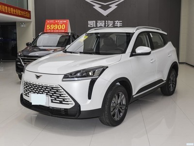  ŽPro 2025 1.5T CVTȰ