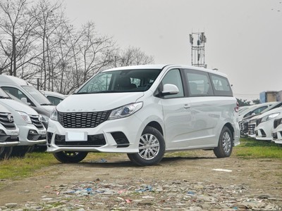 ͨMAXUS G10 2024 2.0L ֶ๦а CNG 9