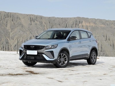  Խ 2024 1.5T DCTڰ