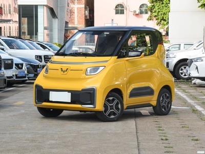  NanoEV 2021 Ȱ