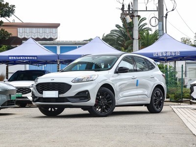   2024 EcoBoost 245 ST-Line Pro