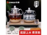 志高JBLF826 金色37x20煮茶款（无水自动加水） 0.8L