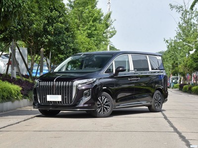 HQ9 PHEV 2024 2.0T 渣