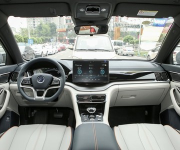 ǵ PLUSԴ 2021 EV 