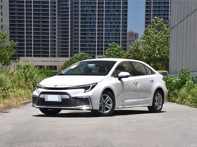  2024 ܵ˫ 2.0L Ȱ
