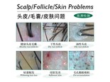 美博艺M13X 11寸-200倍+50倍