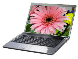 Studio 1537(R511108CN)