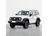 ̹��300����Դ 2025�� Hi4-T 36.7kWh