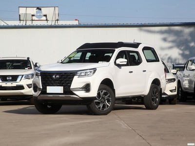   2022 2.0T Զ