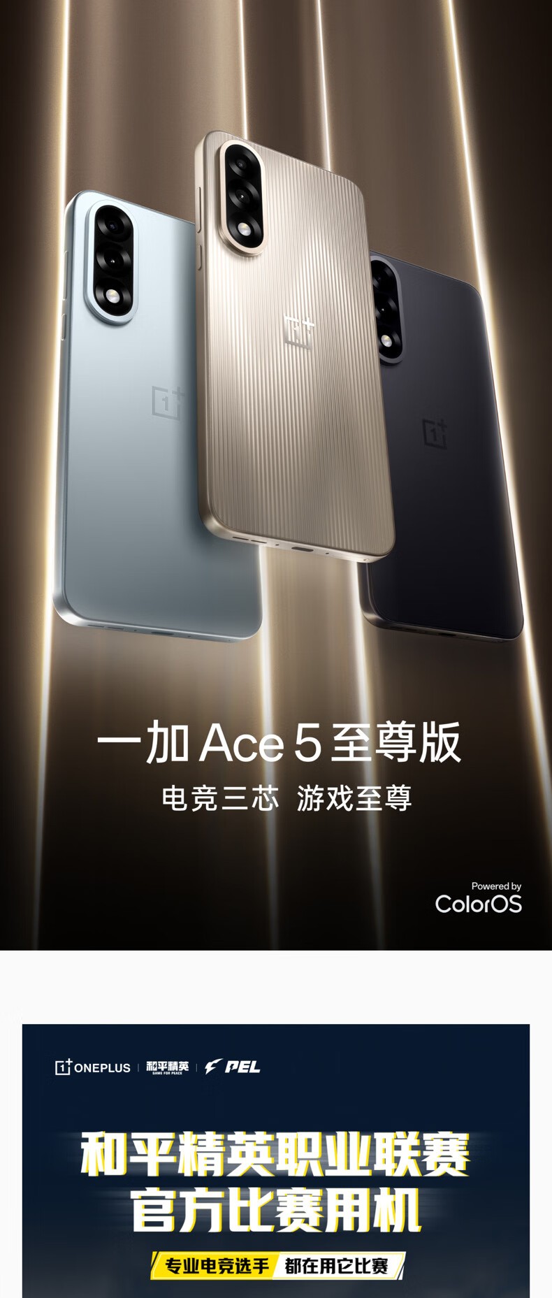 一加Ace 5 至尊版(16GB/256GB)】报价_参数_图片_论坛_OnePlus Ace 5