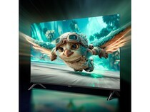 ����ȸ4 25�� 55Ӣ�磨55F270C-JN��