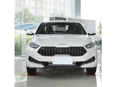 K3Դ 2021 EV  410km