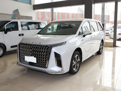 ͨMAXUS ͨG90 2025 2.0T Ǻ