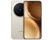 vivo X300 Pro��12GB+256GB��