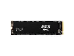 ����P300��256GB��