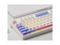 ���� FL980 ��ѩ������