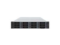 浪潮元脑CS5260H3(海光5480*2/512GB/3.84TB*2+20TB*2/48GB显卡)