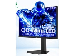 ̩̹����P245MS PLUS