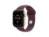 APP Watch Series 12(�ѽ����Ž�ɫ/46mm+M/L������˹����/���Ѱ�)