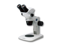 ���ְ�˹SZ61��ʵ����-���۵绰��ѯ