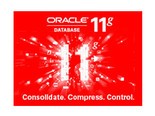 Oracle 11g 标准版